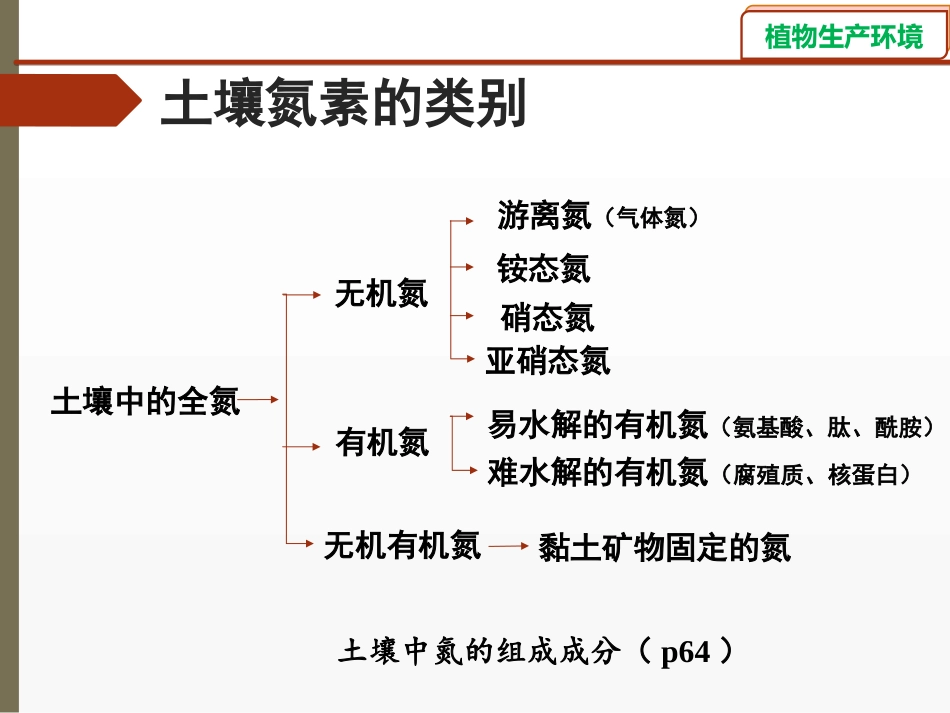 碱解氮的测定_第3页