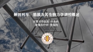 解剖列车筋膜及其生物力学调控