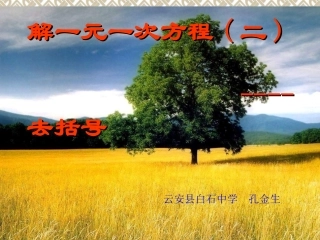 解一元一次方程二