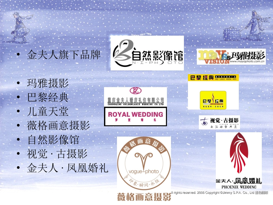 金夫人内部市场分析_第3页