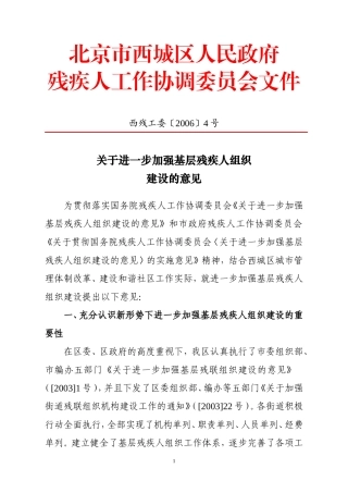 关于进一步加强基层残疾人组织建设的意见