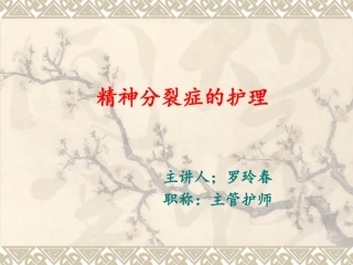 精神分裂症的护理