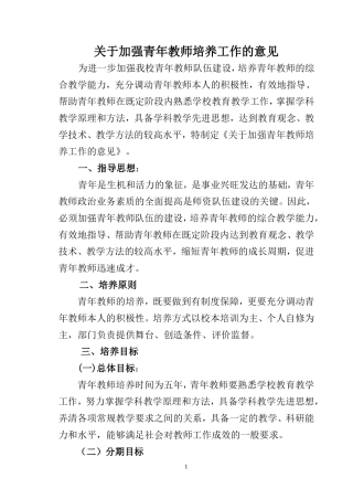关于加强青年教师培养工作的意见