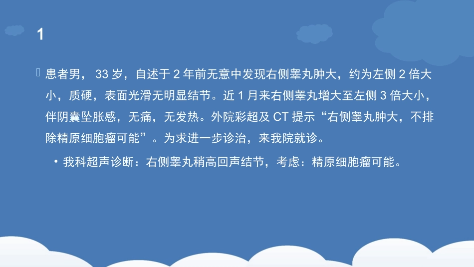 精原细胞瘤及鉴别诊断精品医学_第2页