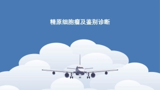 精原细胞瘤及鉴别诊断精品医学