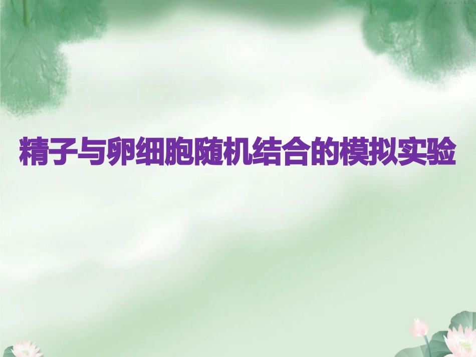 精子与卵细胞随机结合的模拟实验_第1页