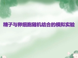 精子与卵细胞随机结合的模拟实验