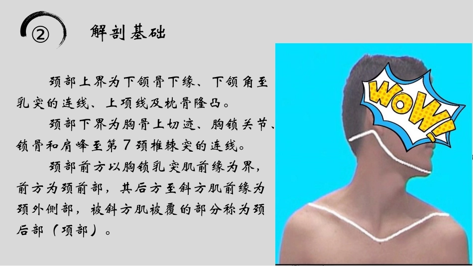 颈部正常影像学表现_第3页