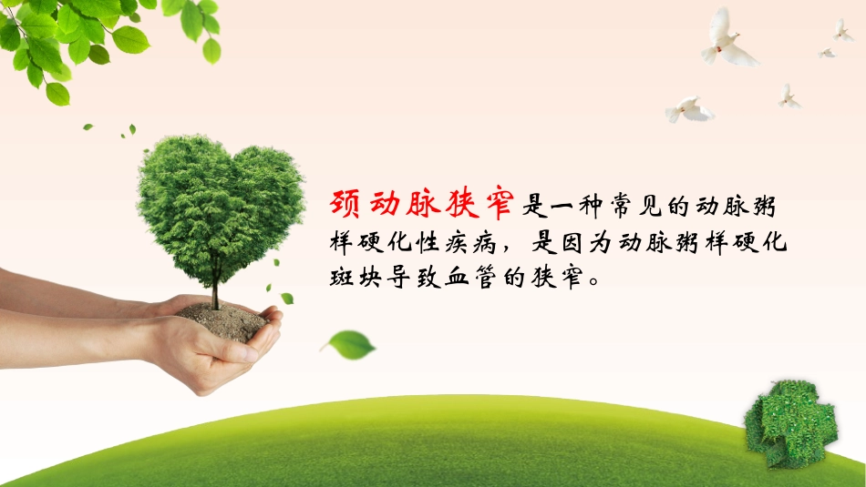 颈动脉狭窄及颈动脉内膜剥脱手术_第2页