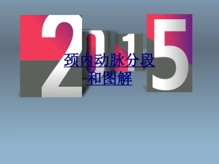 颈内动脉分段和图解讲义