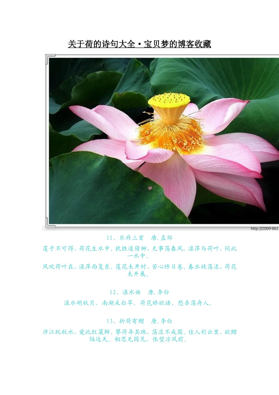 关于荷的诗句大全_第3页
