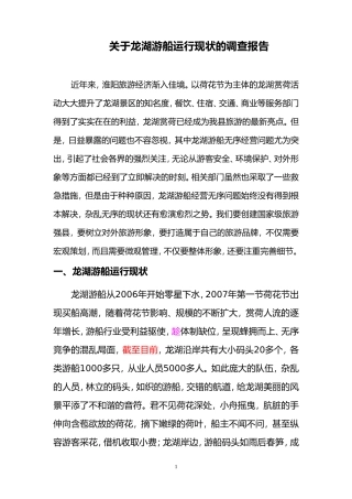 关于龙湖游船运行现状的调查报告