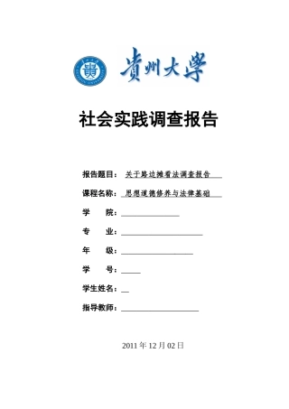 关于路边摊看法调查报告1