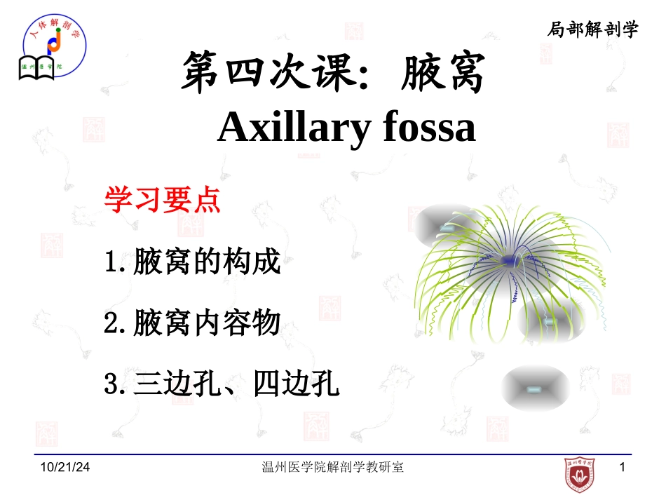 局部解剖学腋窝课件_第1页
