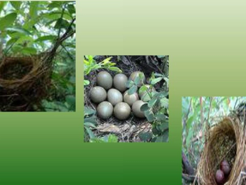 举世无双的建筑师_第2页