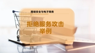 拒绝服务攻击举例