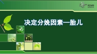 决定分娩因素胎儿
