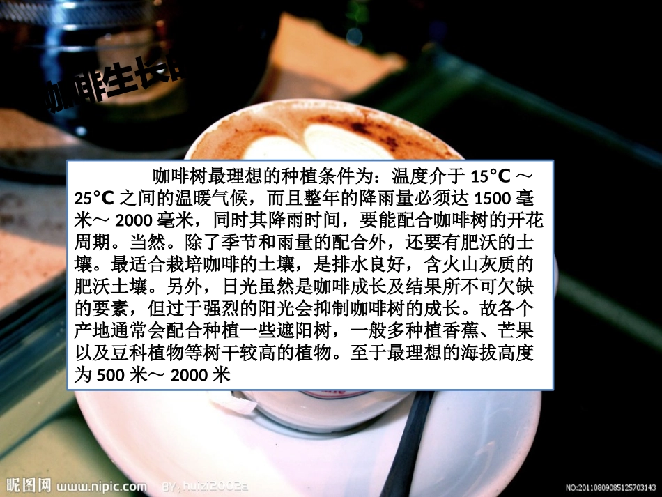 咖啡市场的SWOT分析_第2页