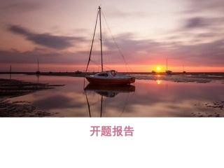 开题报告姚垚