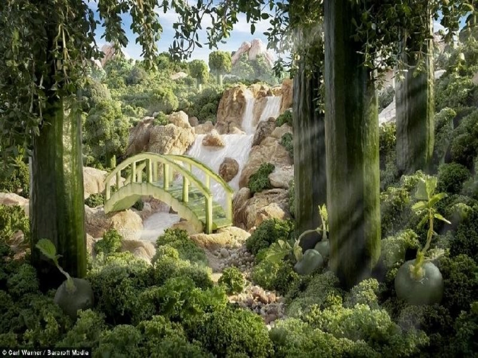 看图写话童话篇课件_第3页