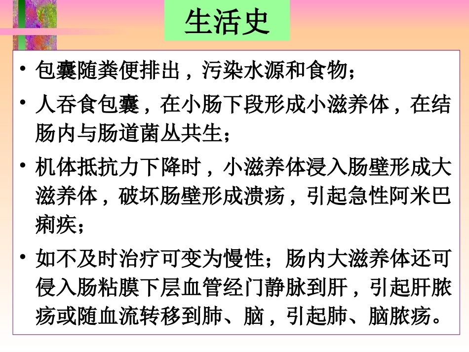 抗阿米巴病药及抗滴虫病药_第3页