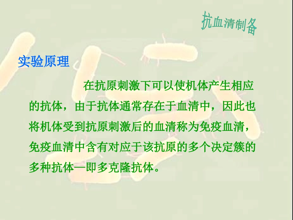 抗血清的制备_第2页