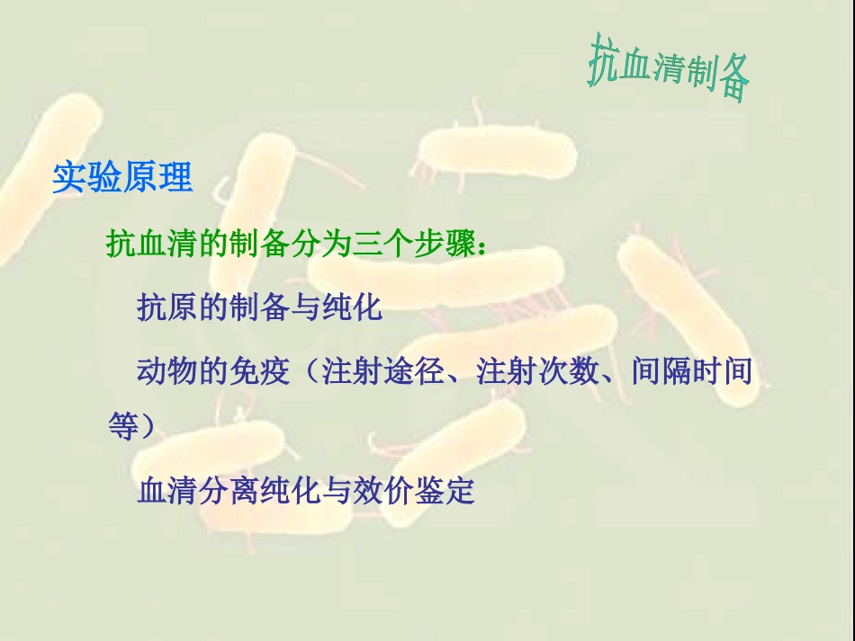 抗血清的制备_第3页