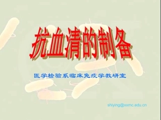 抗血清的制备