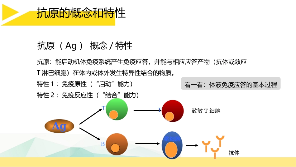 抗原的概念和特性_第2页