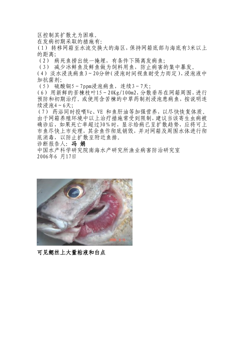 关于茂名市电白县陈村附近鱼排养殖鱼类大量死亡的诊断报告_第2页