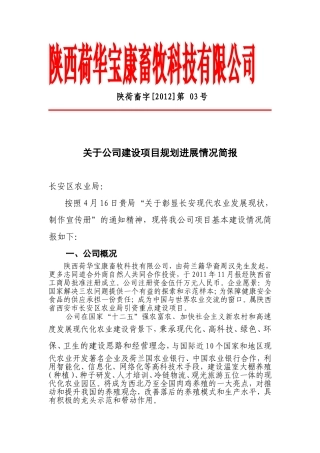 关于公司建设项目规划进展情况简报