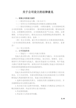 关于公司设立的法律意见