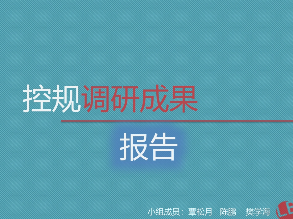 控规调研报告_第1页