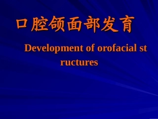 口腔颌面部发育医学