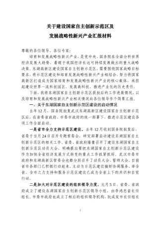 关于建设国家自主创新示范区及发展战略性新兴产业汇报材料