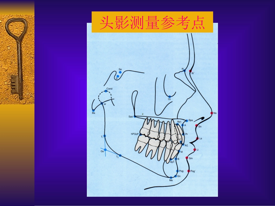口腔正畸头影测量_第2页