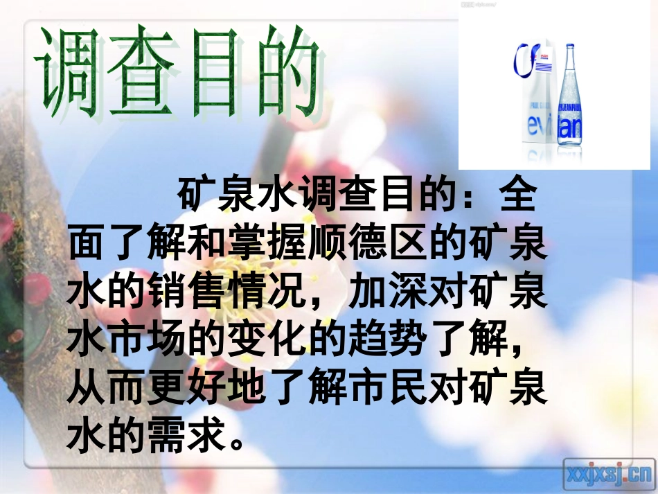 矿泉水调查报告_第2页