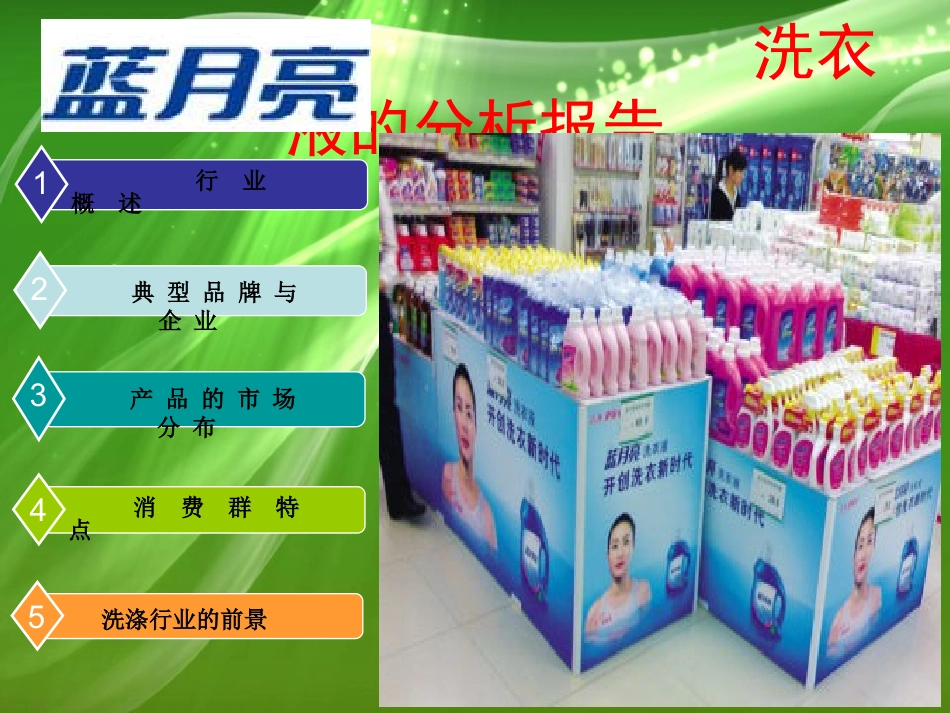 蓝月亮洗衣液分析报告_第2页