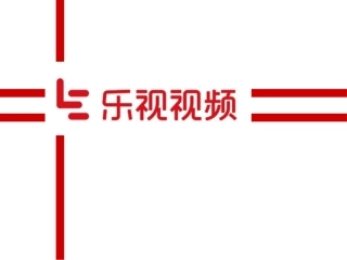 乐视视频案例分析