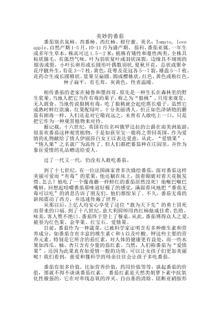 关于番茄的简介