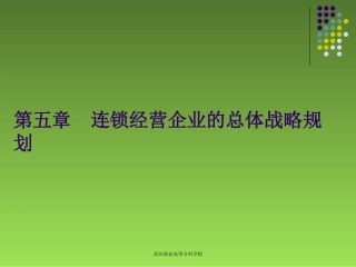 连锁经营企业的总体战略规划