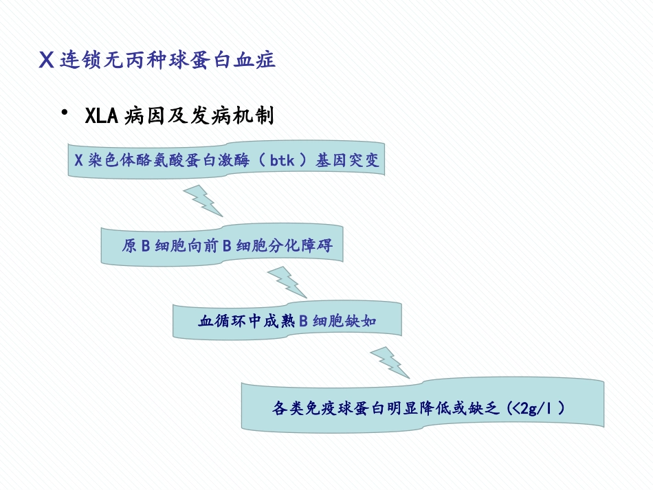 连锁无丙种球蛋白血症_第3页