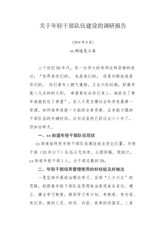 关于年轻干部队伍建设的调研报告