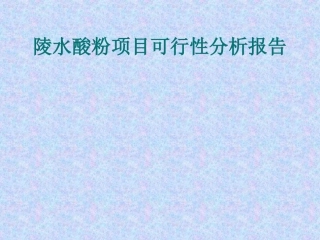 陵水酸粉项目可行性分析报告