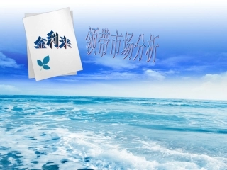 领带市场分析