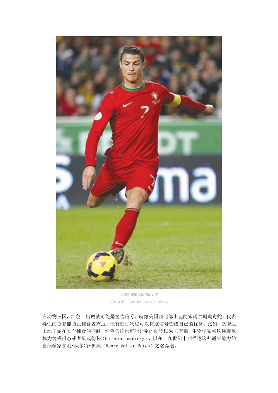 关于绯红色的事实和假象_第3页