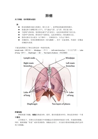 关于肺癌-你所需要知道的