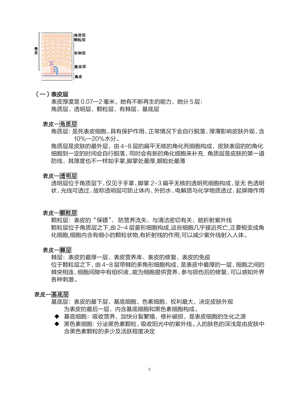 关于皮肤基础知识的详解.._第3页