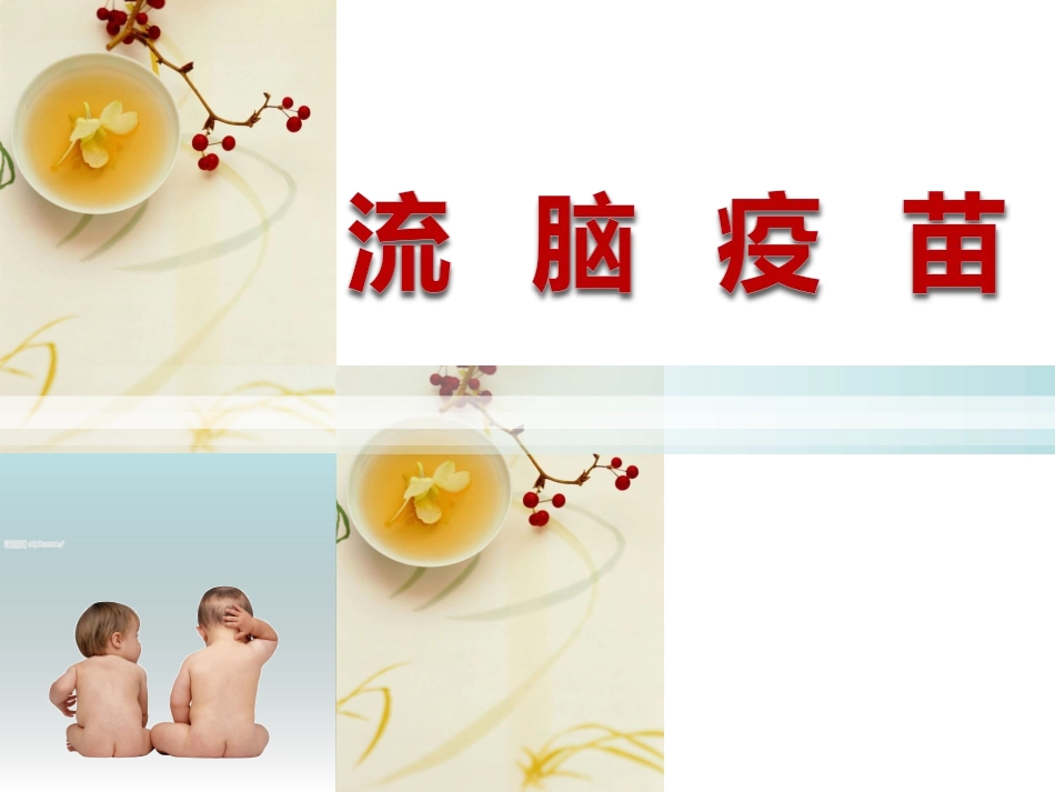 流脑疫苗课件_第1页