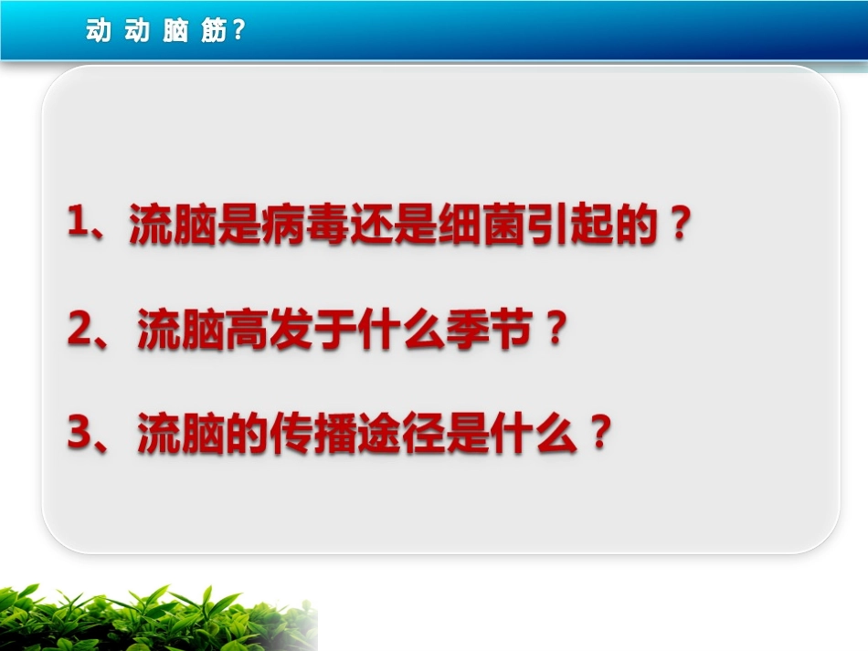 流脑疫苗课件_第2页